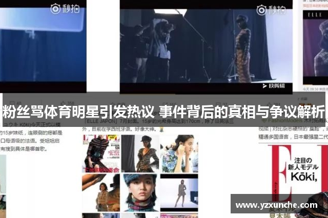 粉丝骂体育明星引发热议 事件背后的真相与争议解析