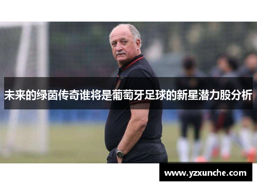 未来的绿茵传奇谁将是葡萄牙足球的新星潜力股分析